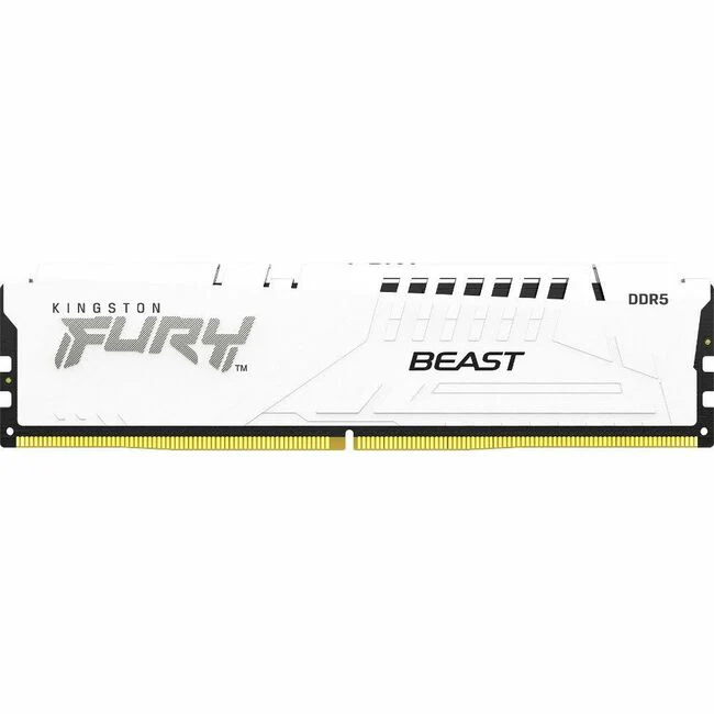 Kingston FURY Beast 16GB DDR5 SDRAM Memory Module - For Motherboard - 16 GB (1 x 16GB) - DDR5-5600/PC5-44800 DDR5 SDRAM - 5600 MHz Single-rank Memory - CL40 - 1.25 V - Non-ECC - Unbuffered - 288-pin - DIMM - Lifetime Warranty